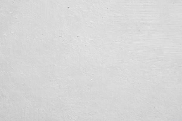 Mold Remediation for Vacation Homes in Constantine, MI